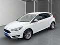 Ford Focus Lim. Cool&Connect Wagen Nr.:035 Weiß - thumbnail 2