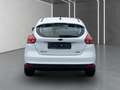 Ford Focus Lim. Cool&Connect Wagen Nr.:035 Weiß - thumbnail 7