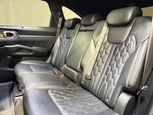 Kia Sorento view 10