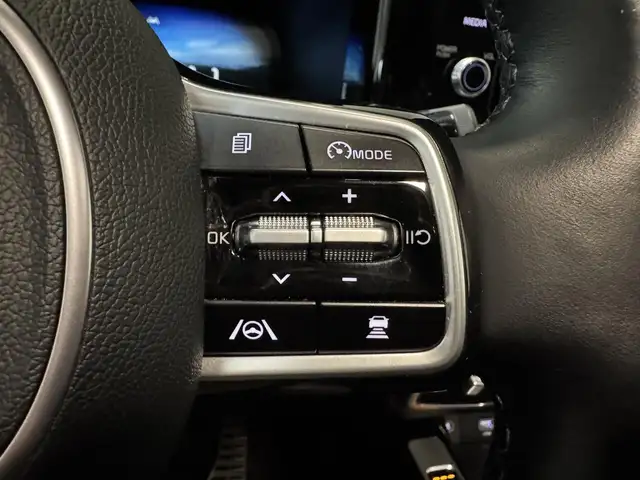Kia Sorento view 23