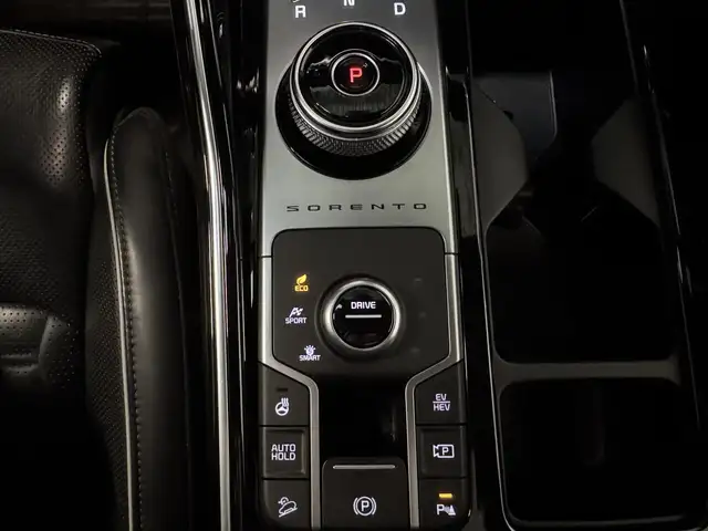 Kia Sorento view 21