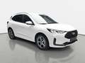 Ford Kuga KUGA 1.5 EB AUTO. ST-LINE NAVI LED KLIMAAUTO WINTE Bianco - thumbnail 3
