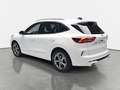 Ford Kuga KUGA 1.5 EB AUTO. ST-LINE NAVI LED KLIMAAUTO WINTE Bianco - thumbnail 5
