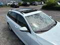 Skoda Octavia Ambition/Pano/Tempo/2Hand/ Wit - thumbnail 6