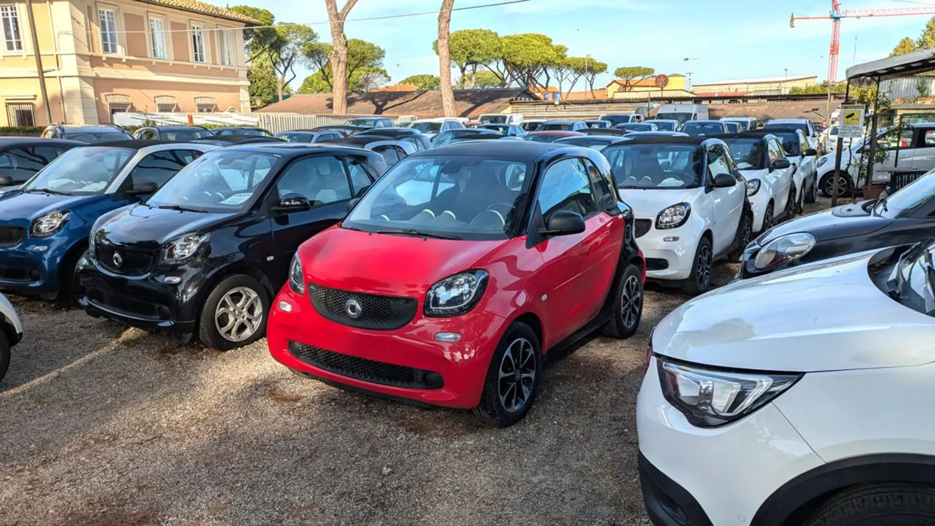 smart forTwo 1.0cc 71cv Rosso - 1