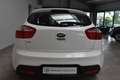 Kia Rio 1.2 Edition 7 Klima Allwetter USB E-Fenster Weiß - thumbnail 5