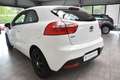 Kia Rio 1.2 Edition 7 Klima Allwetter USB E-Fenster Weiß - thumbnail 7
