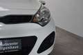 Kia Rio 1.2 Edition 7 Klima Allwetter USB E-Fenster Weiß - thumbnail 10