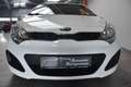 Kia Rio 1.2 Edition 7 Klima Allwetter USB E-Fenster Weiß - thumbnail 9