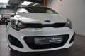 Kia Rio 1.2 Edition 7 Klima Allwetter USB E-Fenster Weiß - thumbnail 1