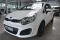 Kia Rio 1.2 Edition 7 Klima Allwetter USB E-Fenster Weiß - thumbnail 8