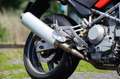 Ducati Monster 1000 M Rood - thumbnail 6