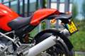 Ducati Monster 1000 M Rot - thumbnail 14