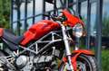 Ducati Monster 1000 M Rot - thumbnail 8