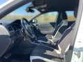Volkswagen T-Roc 1.5 TSI DSG Sport+AHK+LED+NAVI Weiß - thumbnail 12