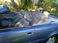 Mercedes-Benz CLK 200 CLK Cabrio 200 K Elegance Elegance Bleu - thumbnail 13