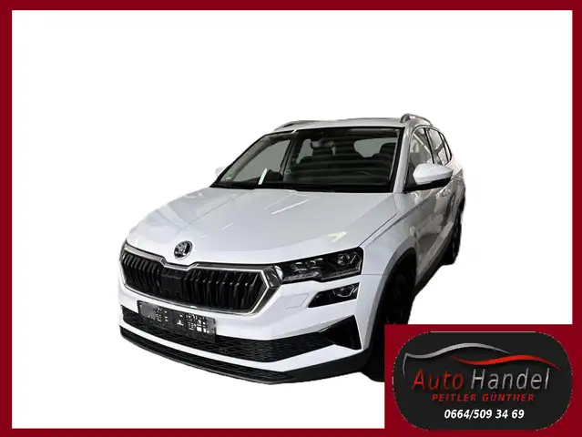 Skoda Karoq 2,0 TDI 4x4 DSG+NAVI+AHK+LED+