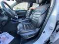 Renault Koleos 1.7 Blue dCi - 150 - BV X-Tronic 4x2  Initiale Paris Blanco - thumbnail 5