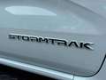 Ford Ranger Stormtrak DoKa 2,3l EcoBoost PHEV 207kW Gris - thumbnail 20