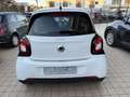 smart forFour 1.0 Passion 71cv - thumbnail 6