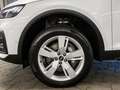 Audi Q5 50 TFSI e quattro AHK ACC Matrix Pano Kamera Weiß - thumbnail 11