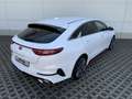 Kia ProCeed / pro_cee'd ProCeed 1.6 T-GDI GT DCT7 Komfort, Nav Weiß - thumbnail 5