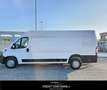 Fiat Ducato 35 2.3 MJT 140CV PLM-SL-TM Furgone Bianco - thumbnail 11
