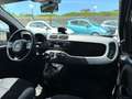 Fiat Panda Panda III 2021 1.0 firefly hybrid City Life s Weiß - thumbnail 8