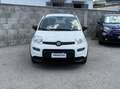 Fiat Panda Panda III 2021 1.0 firefly hybrid City Life s Weiß - thumbnail 3