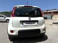 Fiat Panda Panda III 2021 1.0 firefly hybrid City Life s Weiß - thumbnail 13