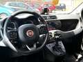 Fiat Panda Panda III 2021 1.0 firefly hybrid City Life s Weiß - thumbnail 9