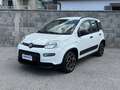 Fiat Panda Panda III 2021 1.0 firefly hybrid City Life s Weiß - thumbnail 2