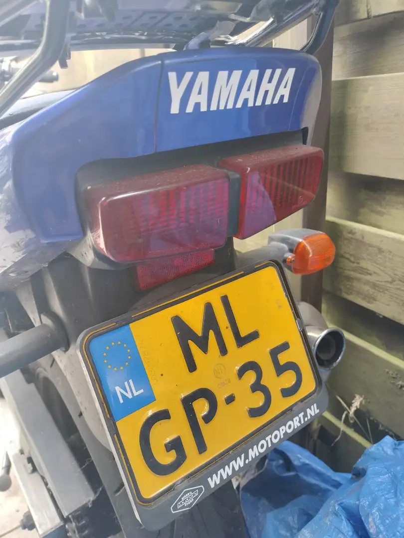 Yamaha FZS 600 Albastru - 2