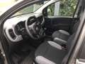 Fiat Panda Cross City Plus Hybrid Grau - thumbnail 16