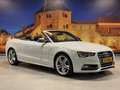 Audi A5 Cabriolet 3.0 TFSI S5 Quattro Automaat B&O ACC Cam Blanco - thumbnail 13