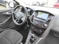 Ford Focus 1.0 EURO-6 NAVI KLIMAA SHZ+LENKRAD PDC Business Grau - thumbnail 35