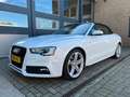 Audi A5 Cabriolet 1.8 TFSI Pro Line S Full Option, Bose Weiß - thumbnail 1