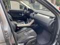 Land Rover Range Rover Evoque 2.2 Sd4 5p. Pure Grau - thumbnail 9