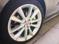 Jaguar XF Sportbrake 25d AWD R-Sport Aut. Allrad AHK - thumbnail 15