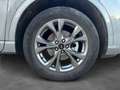 Ford Kuga 2.5 Plug In Hybrid 225 CV CVT 2WD ST-Line Grigio - thumbnail 10