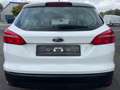 Ford Focus Trend*1.Hand*Euro-6* 1,5l Diesel* Schaltung * Weiß - thumbnail 4