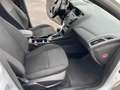Ford Focus Trend*1.Hand*Euro-6* 1,5l Diesel* Schaltung * Weiß - thumbnail 17