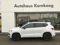CUPRA Ateca 1.5 TSI DSG AHK GAR 08/2029 Bluetooth Navi Weiß - thumbnail 1