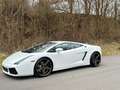 Lamborghini Gallardo Gallardo Blanco - thumbnail 1