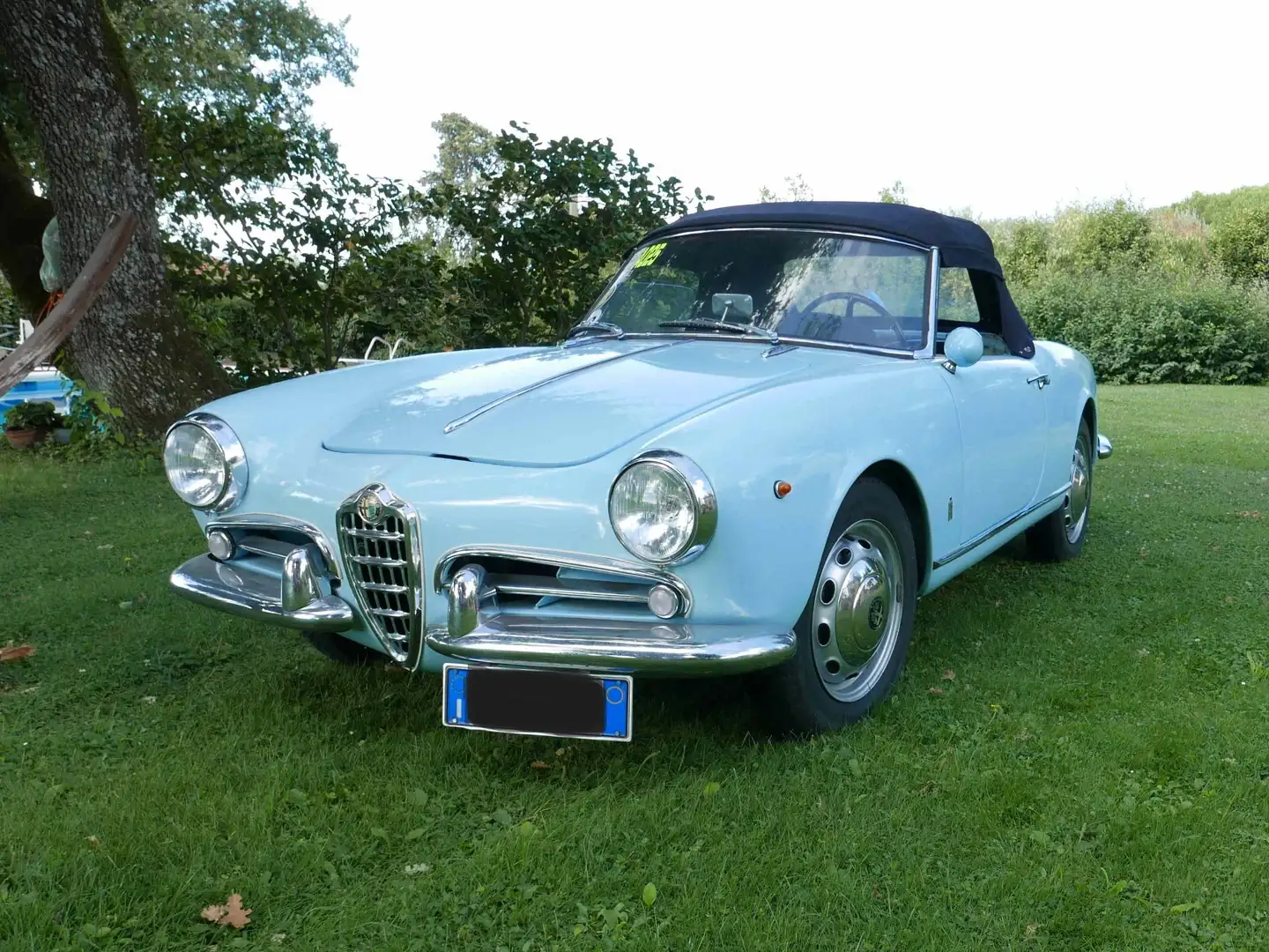 Alfa Romeo Giulietta 1300 Spider Veloce 1° Serie Bleu - 1