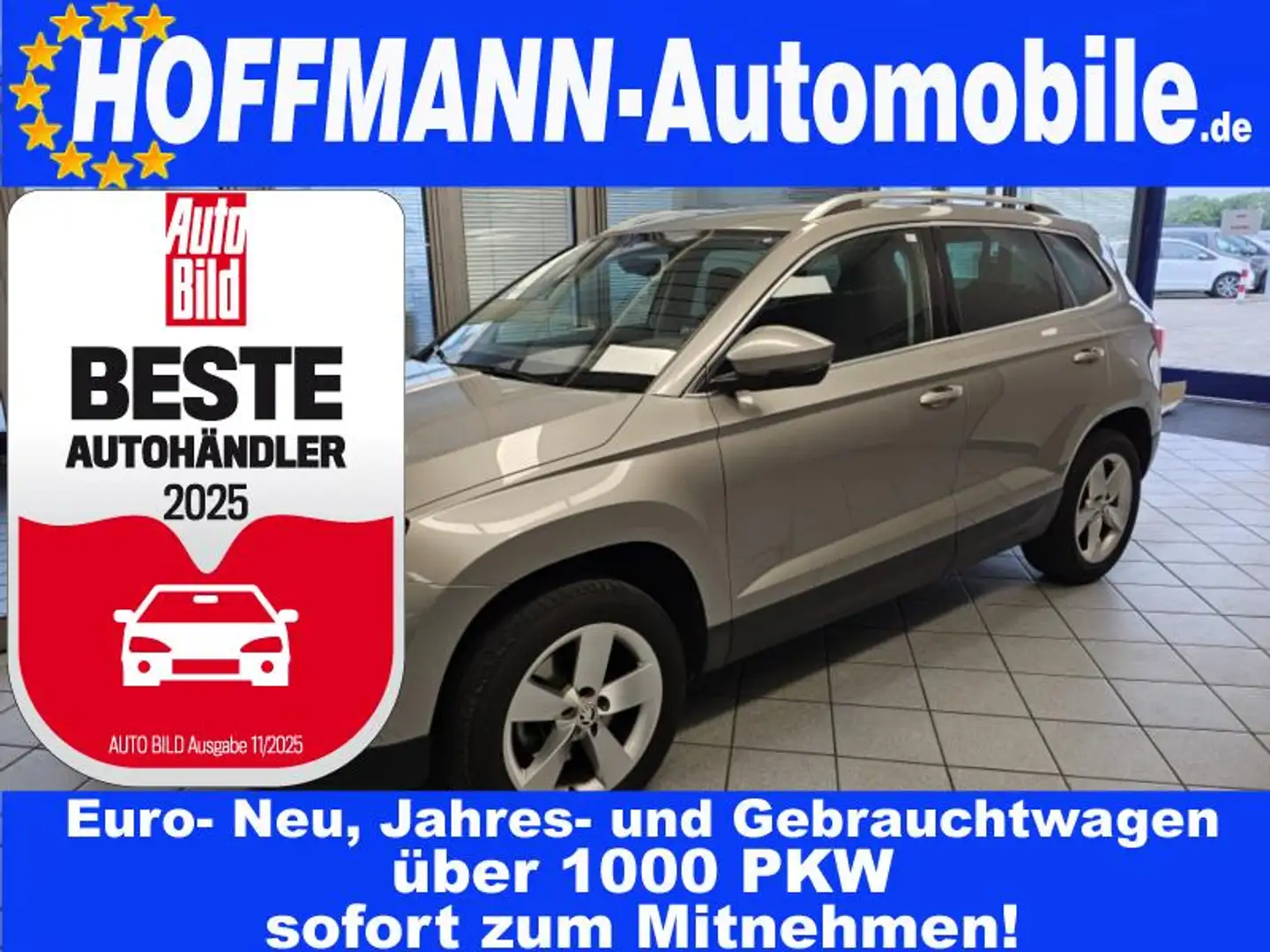 Skoda Karoq Style App-Connect,Navi,LED,Sitzheizung Beige - 1
