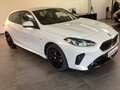 BMW 118 d F70 M Sport Pano adLED SHZ Alarm ad.M-FW Sonnens Weiß - thumbnail 10