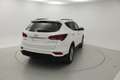 Hyundai SANTA FE TECNO AUTO 2.2 CRDI 200 CV AUTO 2WD 7STR 5P 7 PLAZ Wit - thumbnail 3