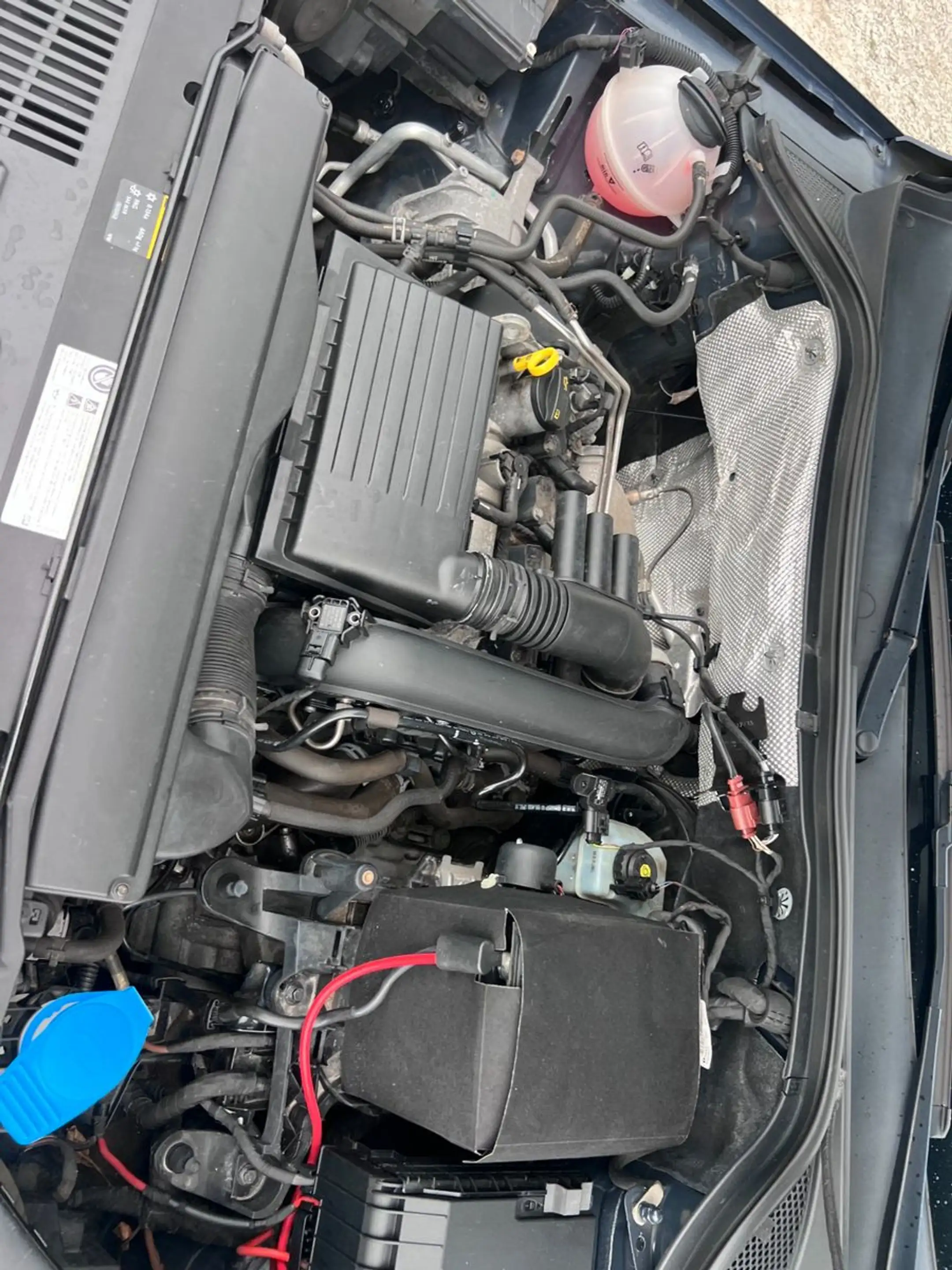 Volkswagen Tiguan 1.4 TSI Lounge Sport & Style AHK Xenon — photo 7