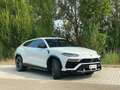 Lamborghini Urus 4.0 - Italiana - Iva - Carbonio - B&O Blanco - thumbnail 3